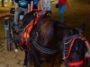 Expoagro GV 2015 - Pq Exposições (Gov Valadares) - 18 JUL 2015