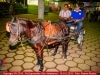 Expoagro GV 2015 - Pq Exposições (Gov Valadares) - 16 JUL 2015