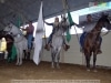 Guia Gerais - ExpoagroGV 2014 - Pq Exposicoes (GV) - 03 JUL 2014 - 008