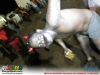 guia-gerais-festa-da-fantasia-acucareira-gov-valadares-01-nov-2013-251