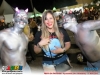 guia-gerais-festa-da-fantasia-acucareira-gov-valadares-01-nov-2013-254