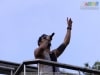 Geve Folia 2014 - Pq Exposicoes (Gov Valadares) - 03 MAI 2014