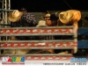 timoteo-fest-country-clube-alfa-17-mai-2012-053