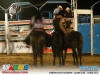 timoteo-fest-country-clube-alfa-17-mai-2012-059