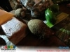 guia-gerais-xix-festa-do-inhame-inhapim-19-set-2013-042