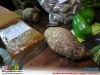 guia-gerais-xix-festa-do-inhame-inhapim-19-set-2013-045
