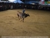 Guia Gerais - XXVI Cavalgada J Monlevade 2014 - Pq Areao (J Monlevade) - 30 AGO 2014 - 100