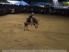Guia Gerais - XXVI Cavalgada J Monlevade 2014 - Pq Areao (J Monlevade) - 30 AGO 2014 - 101