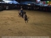 Guia Gerais - XXVI Cavalgada J Monlevade 2014 - Pq Areao (J Monlevade) - 30 AGO 2014 - 102