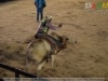 Guia Gerais - XXVI Cavalgada J Monlevade 2014 - Pq Areao (J Monlevade) - 30 AGO 2014 - 103