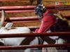 Guia Gerais - XXVI Cavalgada J Monlevade 2014 - Pq Areao (J Monlevade) - 30 AGO 2014 - 106