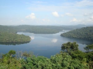 O Parque Estadual do Rio Doce (imagem), no Vale do Rio Doce, abriga a maior reserva de Mata Atlântica do Estado